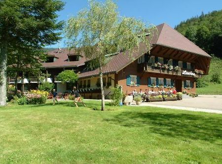 Hotel Lawine トートナウ エクステリア 写真