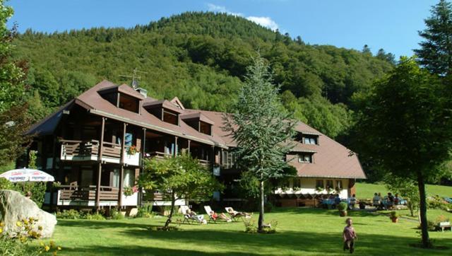 Hotel Lawine トートナウ エクステリア 写真